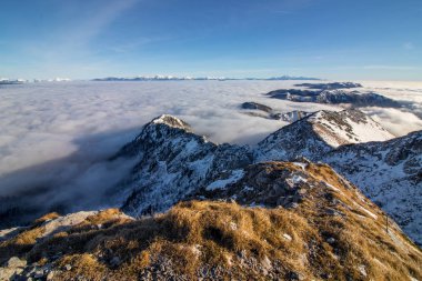 gün ışığına dağın zirvesinde