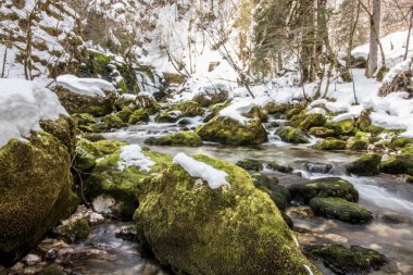 nehir Bistrica bahar kış zamanında