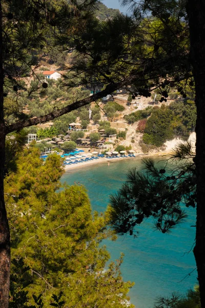 Lemonakia Beach Throw Trees — Stock Photo, Image