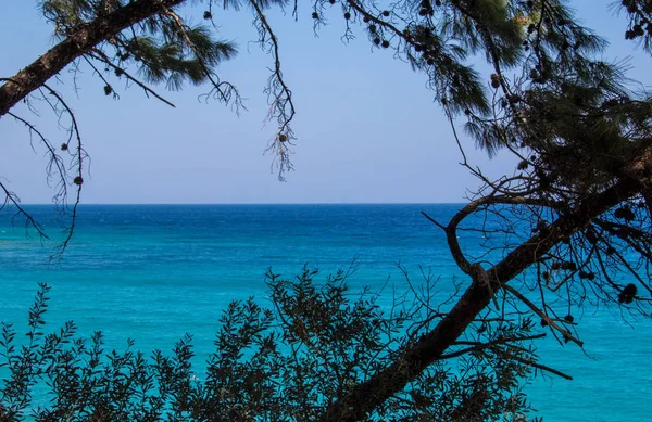 Turquoise Ocean Front Two Trees — Stock Photo, Image