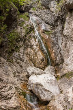 Kamnik yakınlarında güzel şelale Orglice