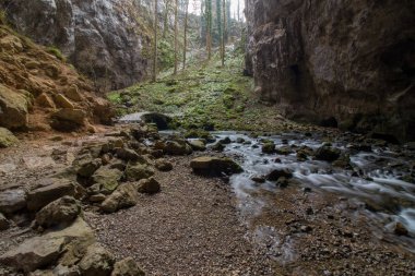 Rak nehir Rakov kocjan Park ile taş köprü