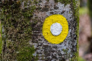 ağaçta sarı yangın