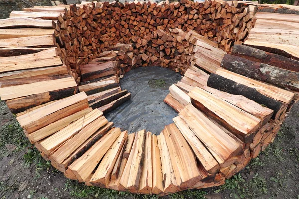 Look Wood Pile — Stock Photo, Image