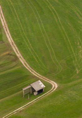 samanrafile yeşil alan