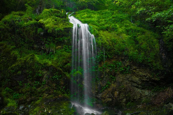 Yeşil Renkli Küçük Şelale — Stok fotoğraf