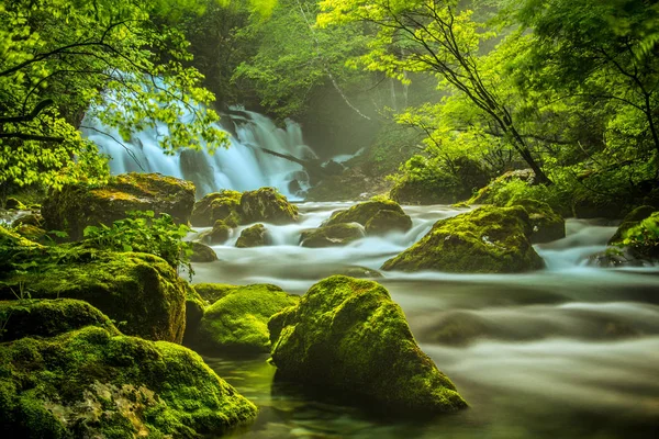 Yavaş çekimde Bahar nehri Bistrica