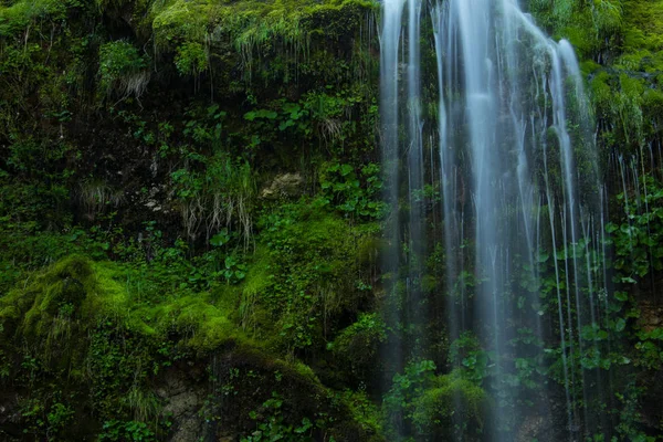 Pequena Cascata Musgo Verde — Fotografia de Stock