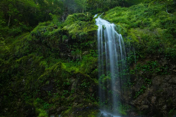 Eau Coulant Sur Une Roche Pleine Mousse — Photo