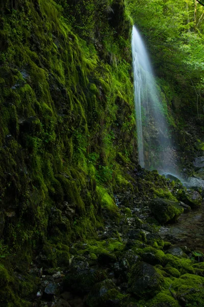 Musgo Verde Vívido Cascata — Fotografia de Stock