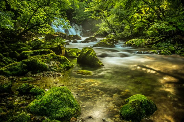 Frühling Des Flusses Bistrica Morgenzeit — Stockfoto