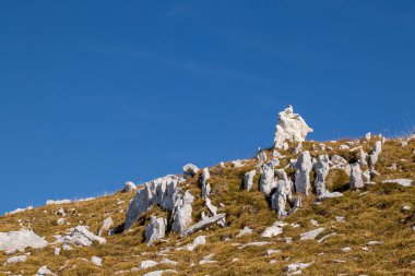 Tosc dağıüzerinde komik görünümlü kayalar