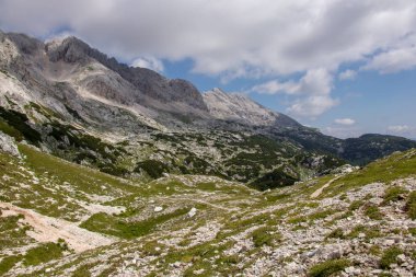  Rjavina zirvesine dağ izi