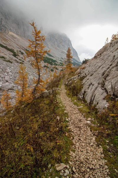 Mountain path up in the mountains in autumn time