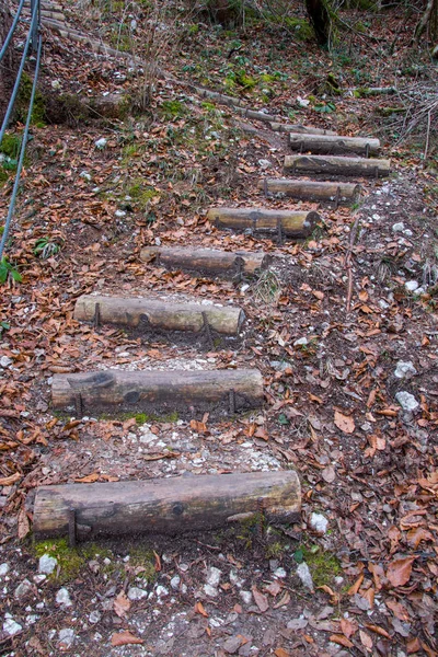 Simple wood stairs in nature, autumn time
