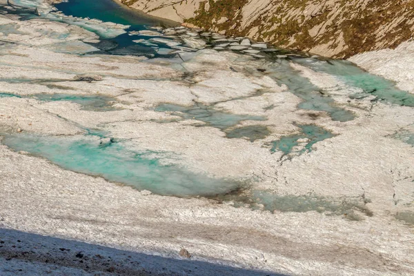 Cor Verde Vívida Lago Ledvicka Início Verão — Fotografia de Stock