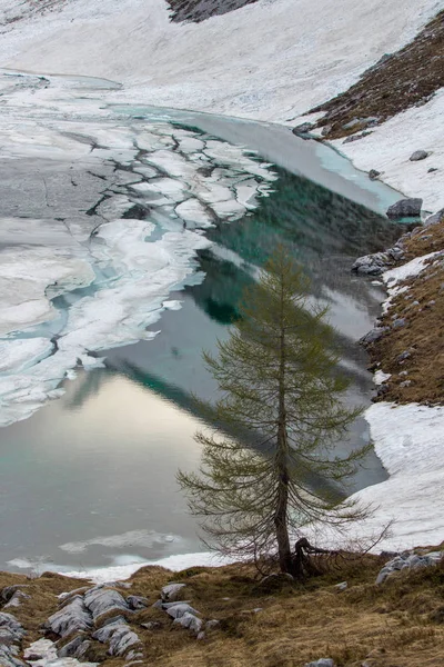 Maior Lago Vale Triglav Coberto Neve — Fotografia de Stock