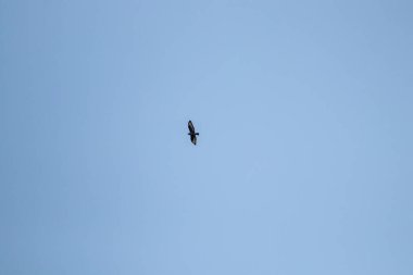 Ama gökyüzünde uçuyor.