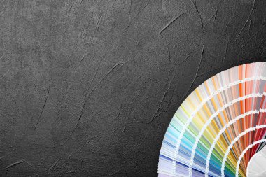 Gri arka plan üzerinde renk paleti örnekleri