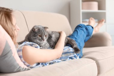 Onun şirin evde beslenen hayvan kedi evde kanepe üzerinde olan kadın