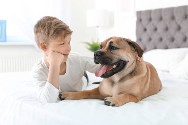 Sevimli küçük çocuk köpeğiyle evde yatağında dinleniyor