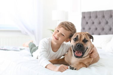 Sevimli küçük çocuk köpeğiyle evde yatağında dinleniyor