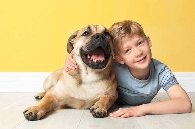Renk duvarının yakınında köpeğiyle şirin küçük çocuk