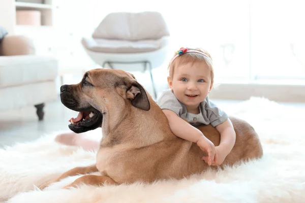 Criança Bonito Com Cão Casa — Fotografia de Stock