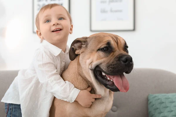 Criança Bonito Com Cão Sofá Casa — Fotografia de Stock