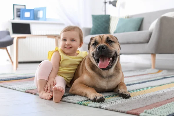 Criança Bonito Com Cão Casa — Fotografia de Stock