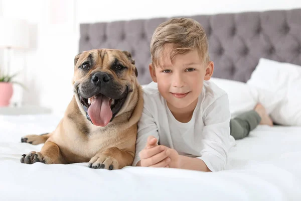 Criança Bonito Com Seu Cão Descansando Cama Casa — Fotografia de Stock