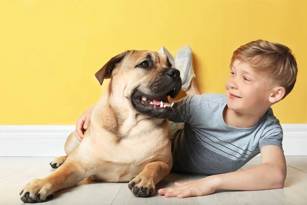 Criança Bonito Com Seu Cão Perto Parede Cor — Fotografia de Stock