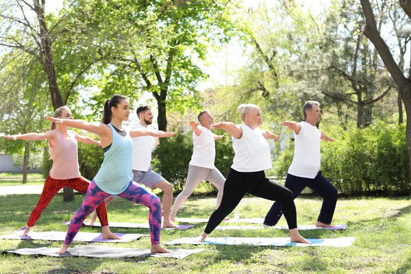 Group People Practicing Yoga Park Sunny Day — Stock Photo, Image