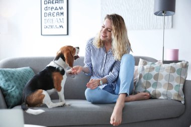 Köpeğini evde kanepe üzerinde olan kadın