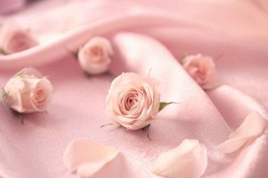 Renk kumaş üzerine güzel güller ile kompozisyon