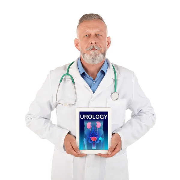 Mies Lääkäri Tilalla Tabletti Virtsateiden Näytöllä Valkoista Taustaa Vasten — kuvapankkivalokuva