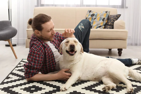 Entzückender Gelber Labrador Retriever Mit Besitzer Hause — Stockfoto