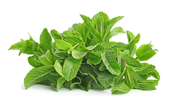 Fresh Green Mint Leaves White Background — Stock Photo, Image