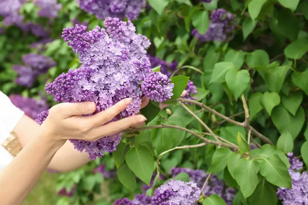 Giovane Donna Con Fioritura Lilla All Aperto Giorno Primavera — Foto Stock