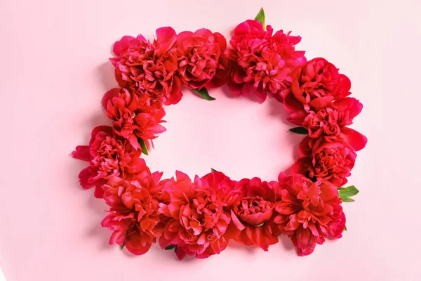 Renk arka plan üzerinde güzel çiçek açan peonies ile düz yatıyordu kompozisyon