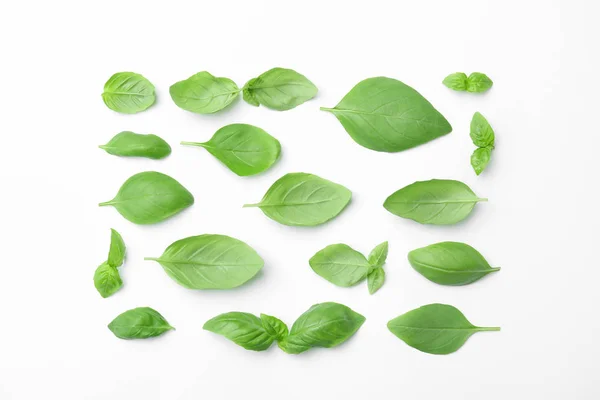 Fresh Green Basil Leaves White Background Top View — Stock Photo, Image