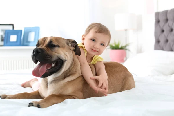 Criança Bonito Com Cão Cama Casa — Fotografia de Stock