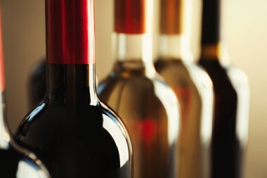 Şişe lezzetli şarap, closeup ile. Profesyonel sommelier