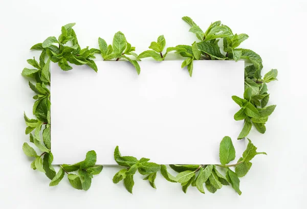 Blank Card Fresh Mint Leaves White Background — Stock Photo, Image