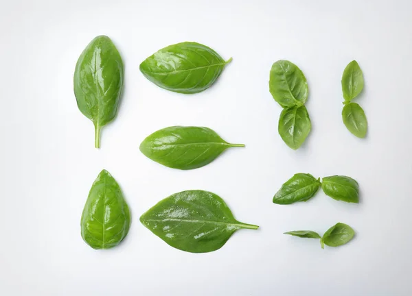Fresh Green Basil Leaves White Background Top View — Stock Photo, Image