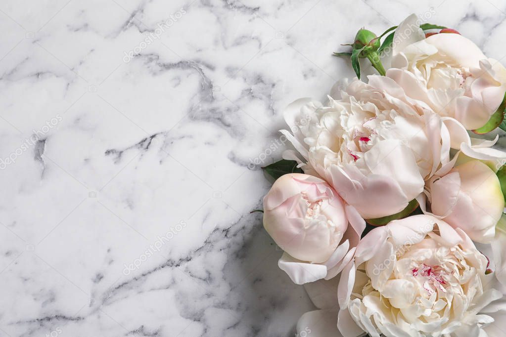 Beautiful Blooming Peony Flowers Marble Background — Stock Photo