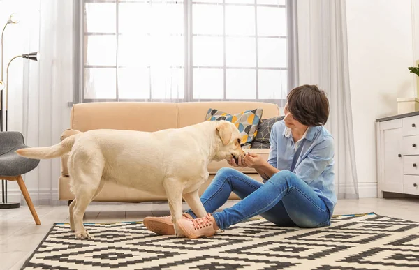自宅の所有者と愛らしい黄色いラブラドル レトリーバー犬 — ストック写真