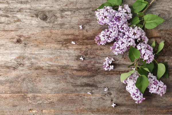 木製の背景 上面の花ライラック 春の花 — ストック写真