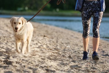 Sahilde köpeğini birlikte olan kadın. Evde beslenen hayvan kaygı