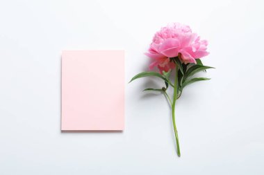 Güzel Şakayık Çiçeği ve beyaz arka plan üzerinde boş kartı